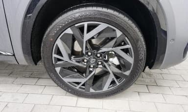 Grang Koleos