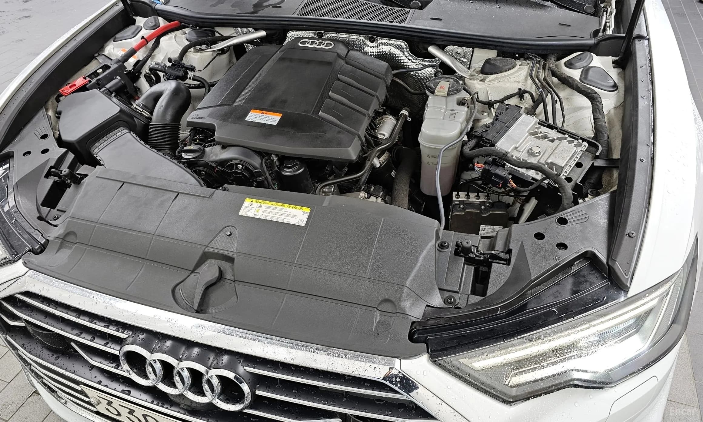 A6 (C8)