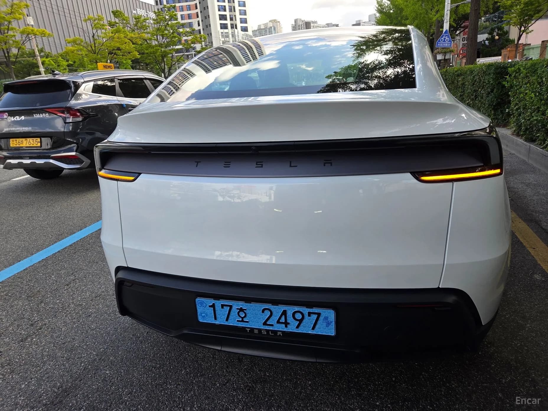 Model Y