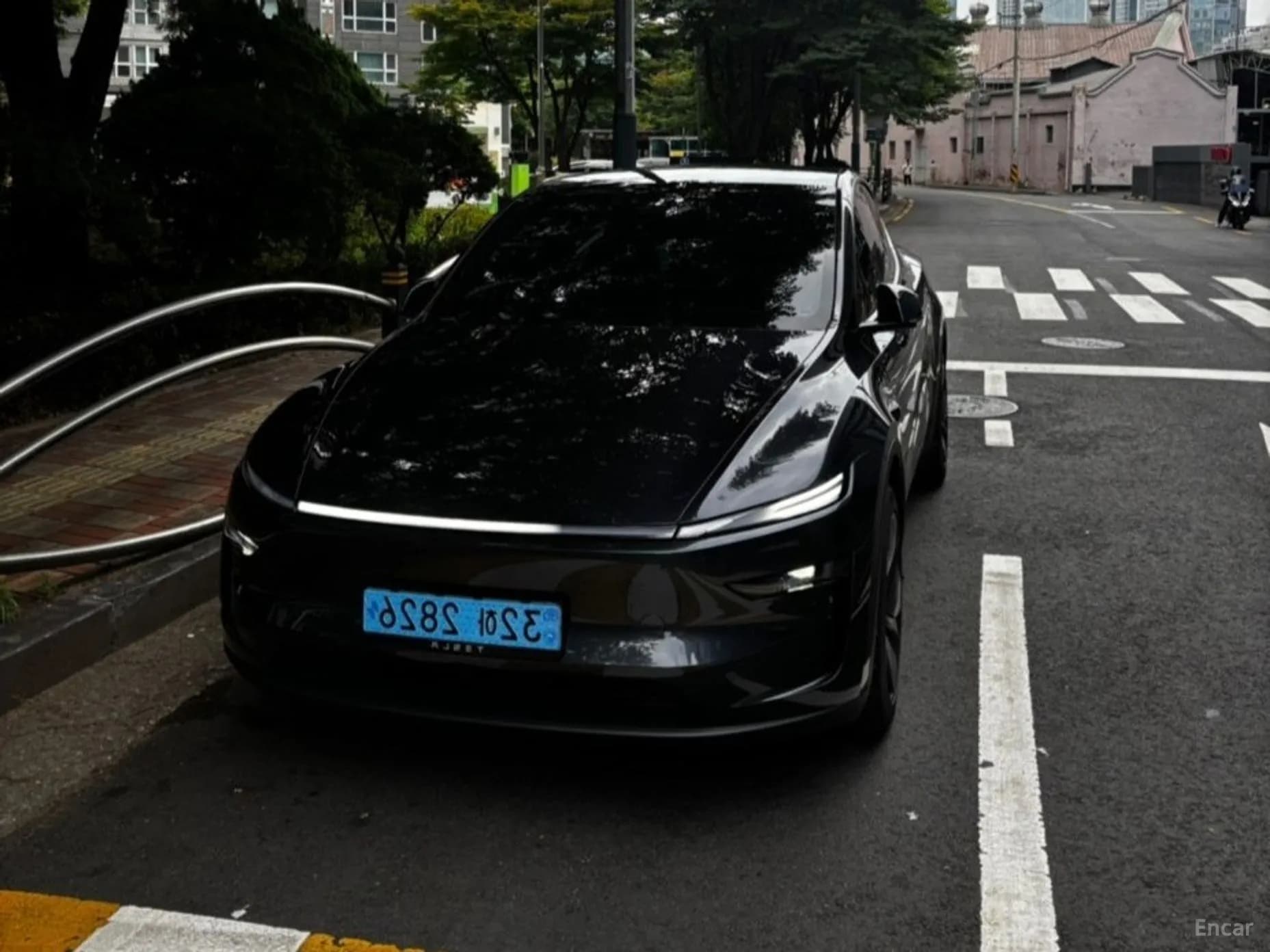 Model Y