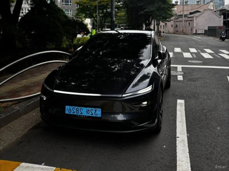 Model Y
