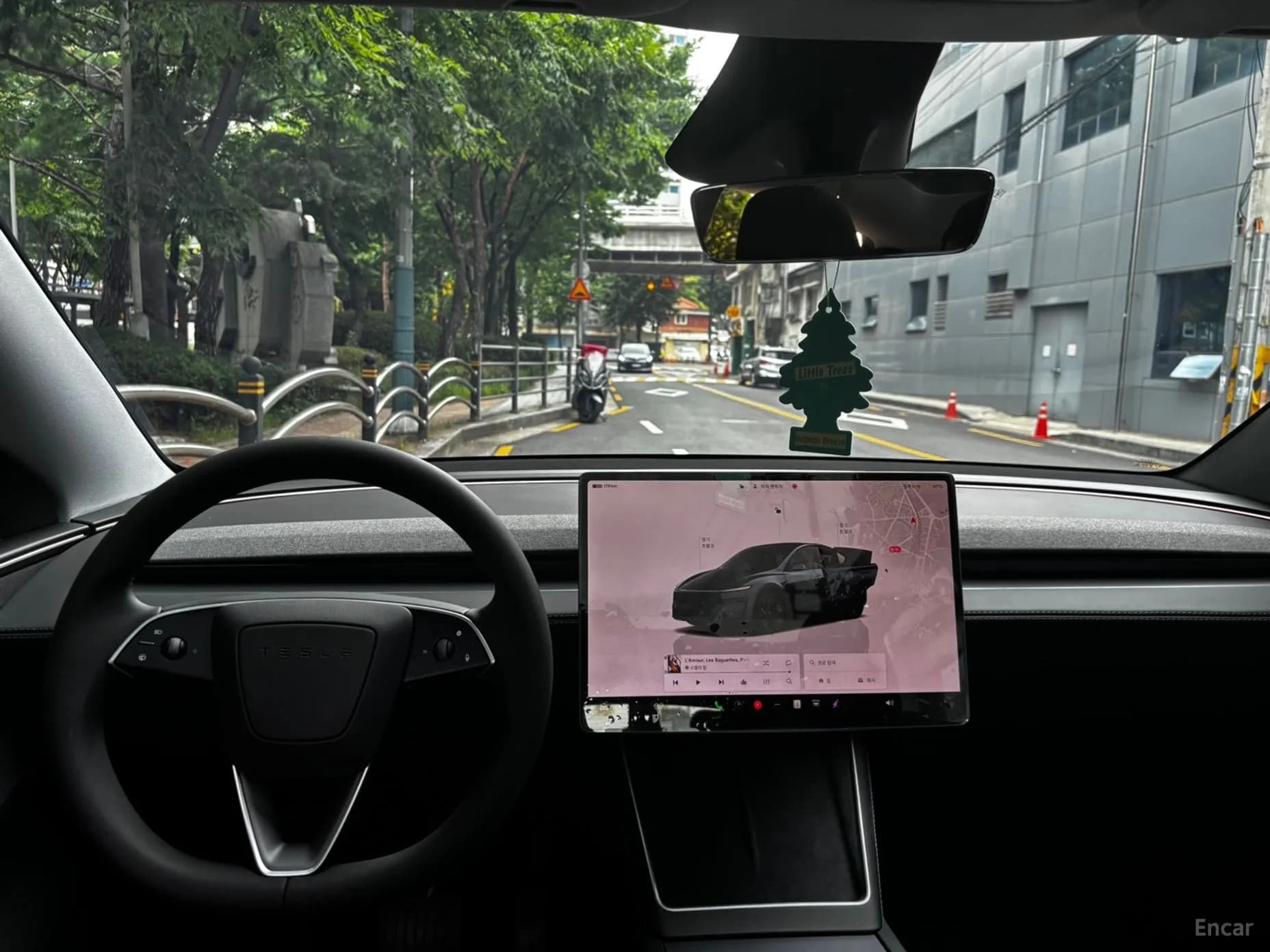 Model Y