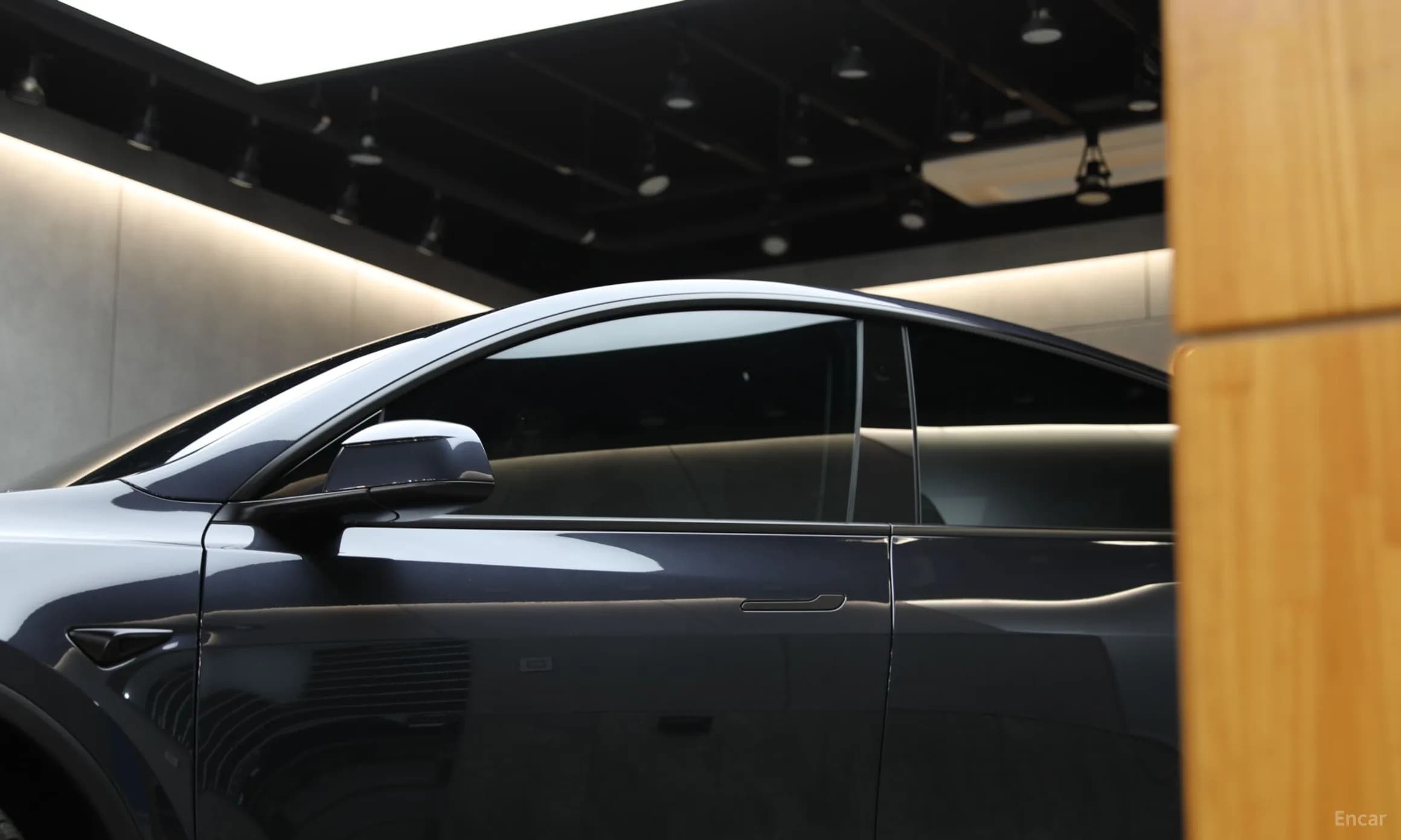 Model Y