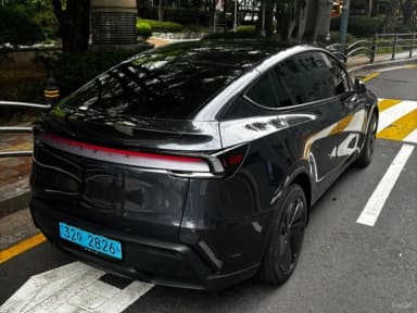 Model Y