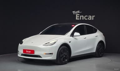 Model Y