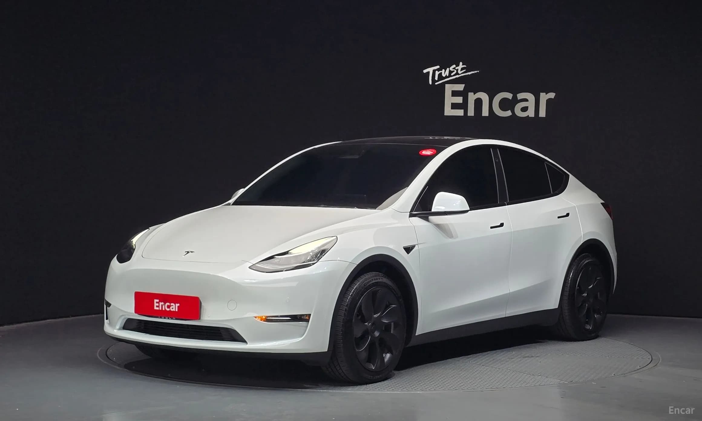 Model Y