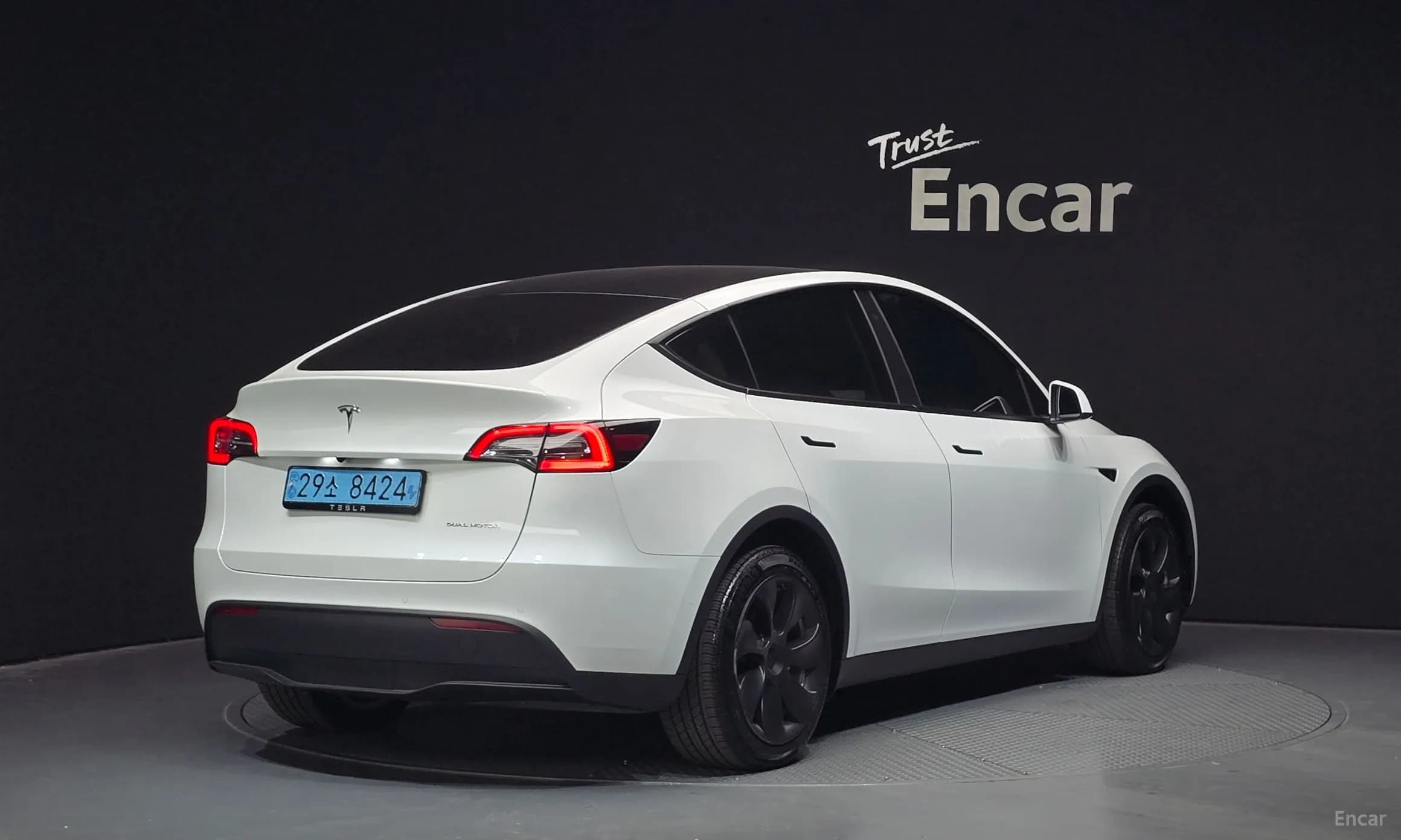 Model Y