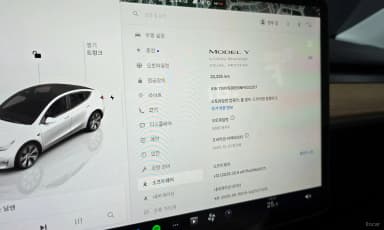 Model Y