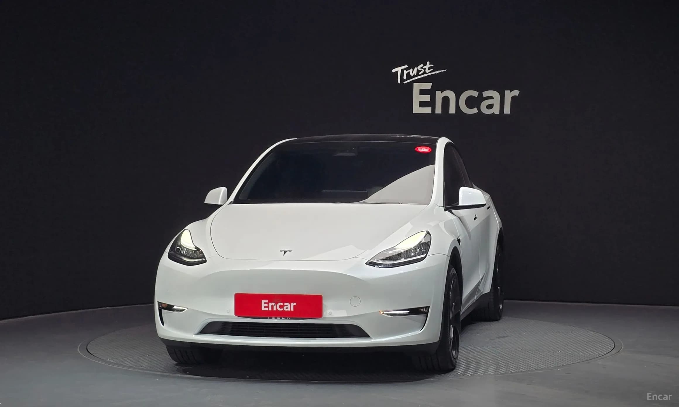 Model Y