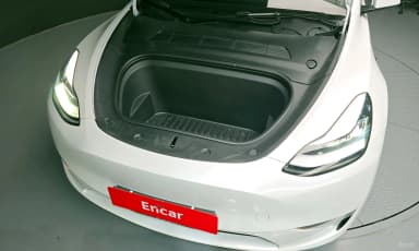 Model Y