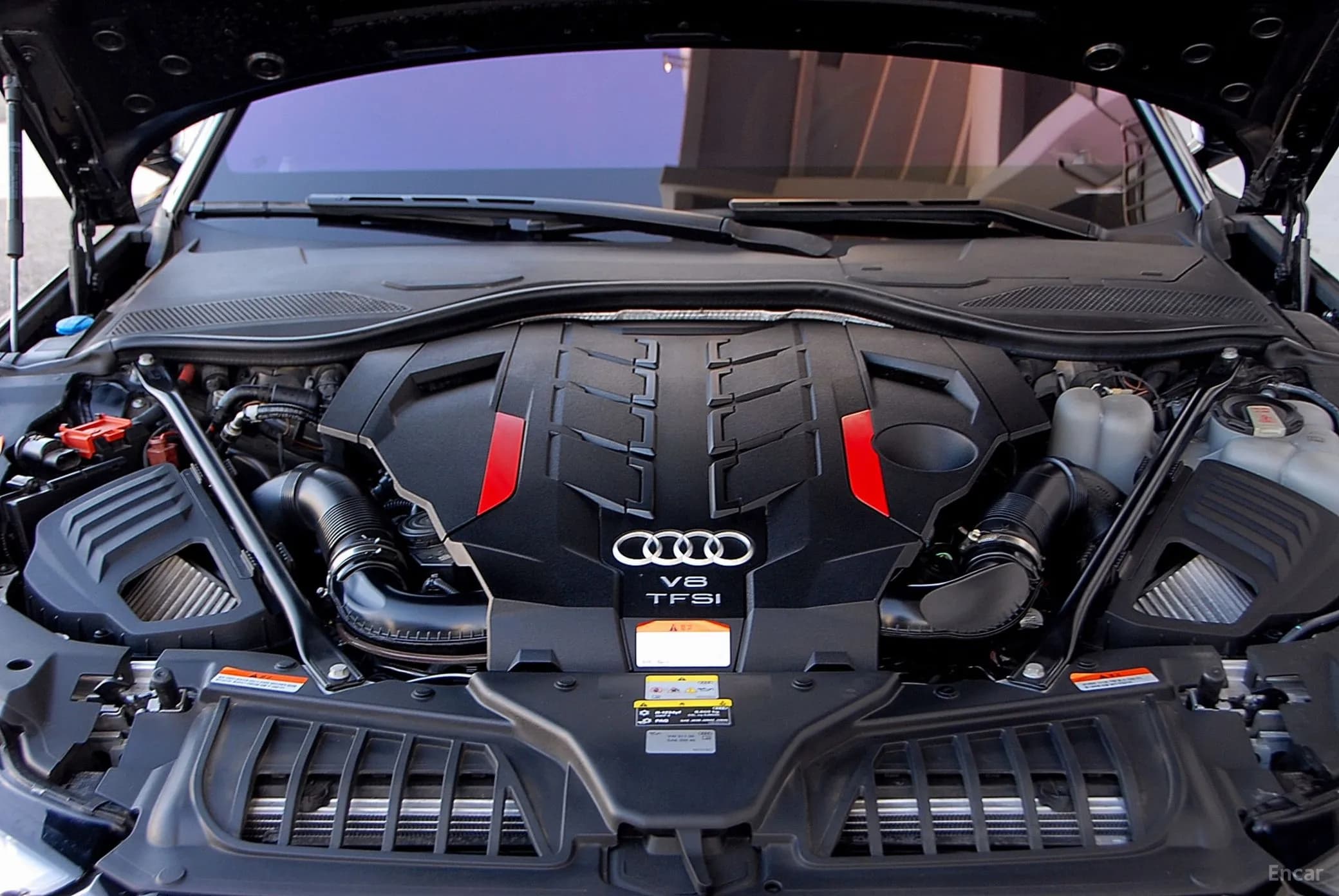 S8 (D5)