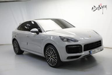 Cayenne (PO536)
