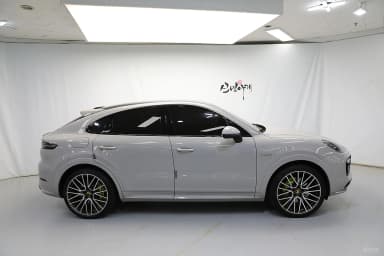 Cayenne (PO536)