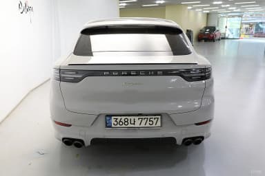 Cayenne (PO536)
