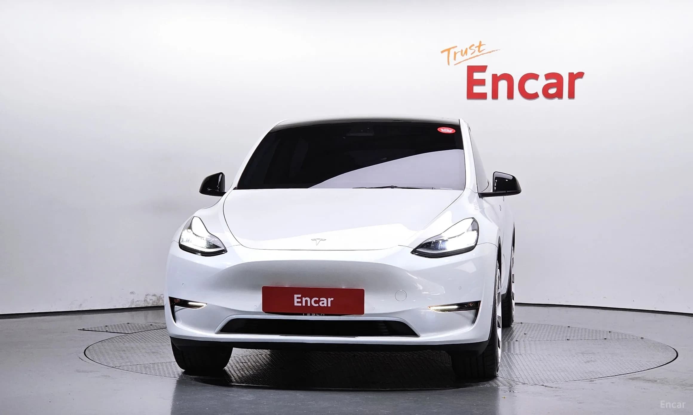 Model Y