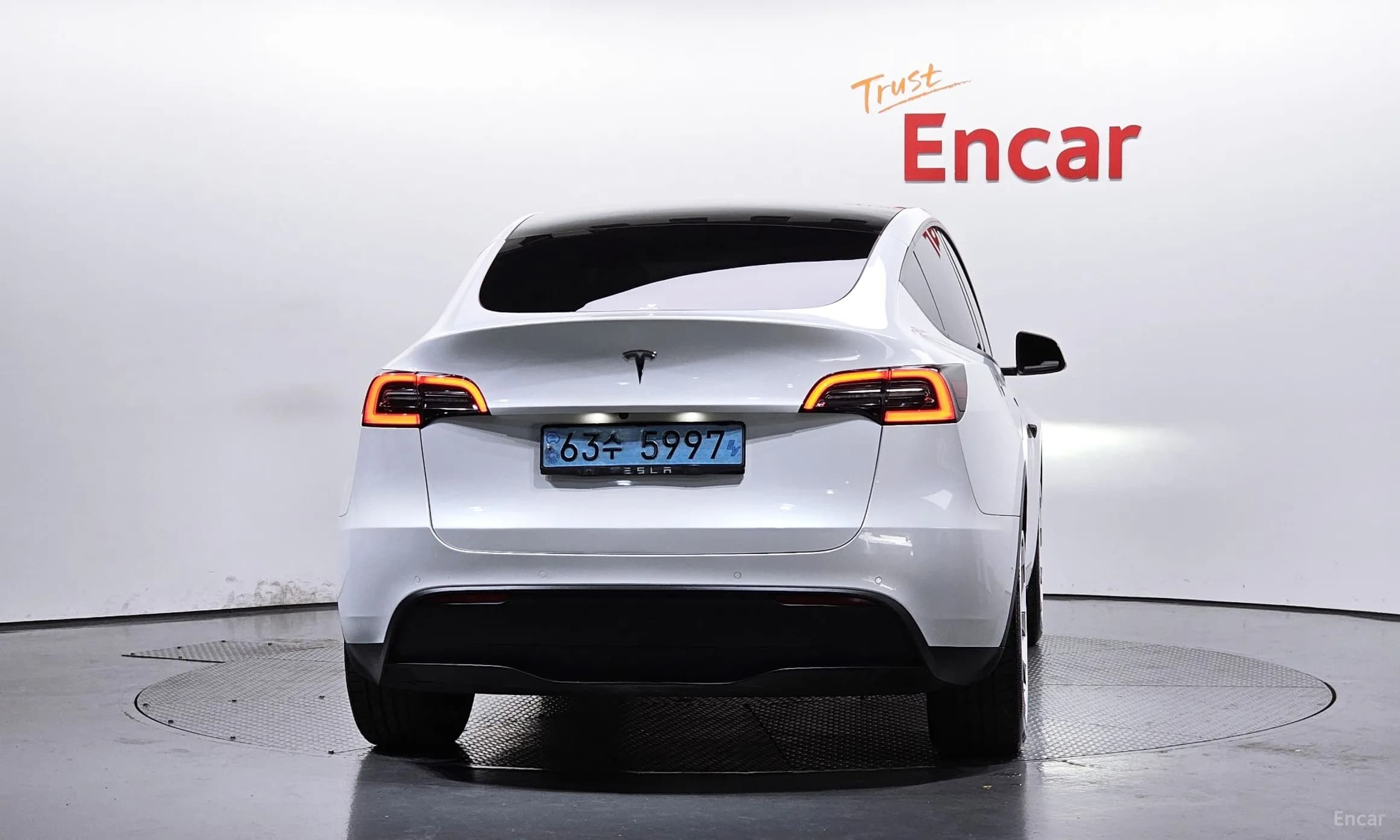 Model Y