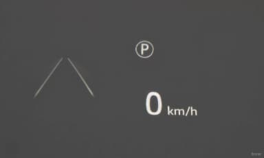 Defender (L663)