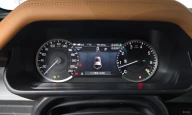 Defender (L663)