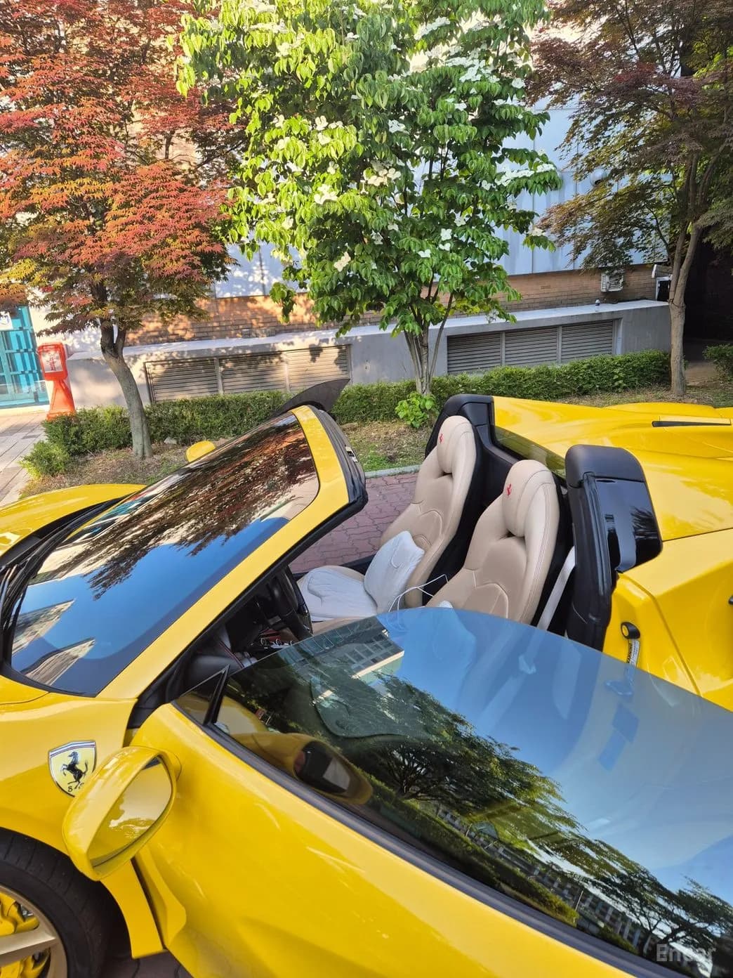 488 Spider