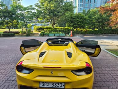 488 Spider