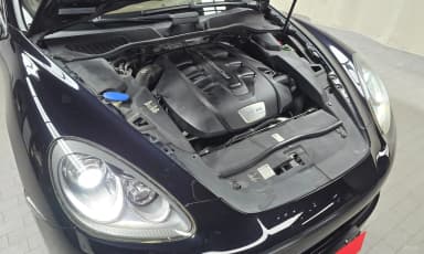 New Cayenne