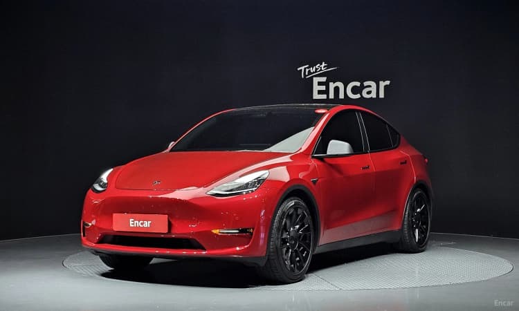 Model Y