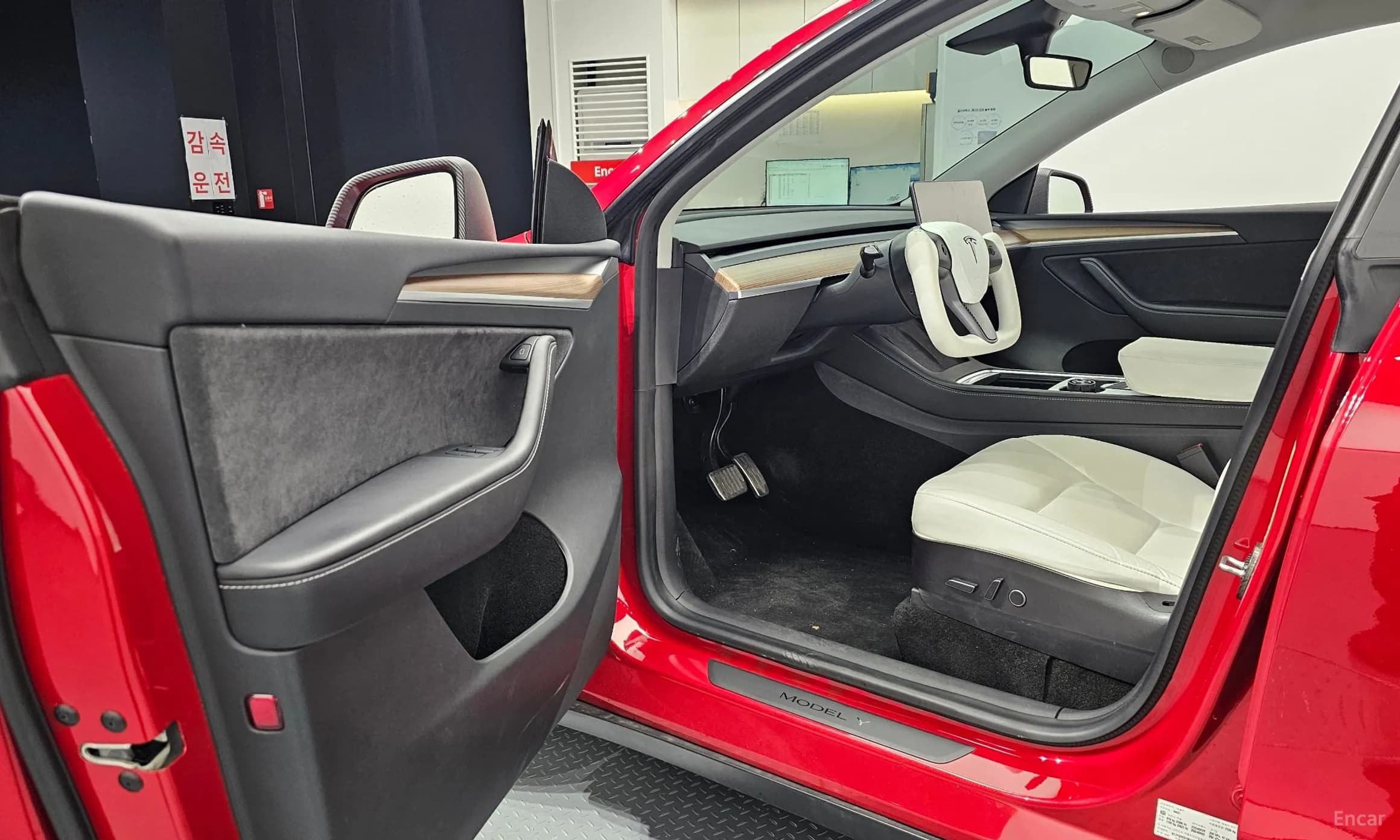 Model Y