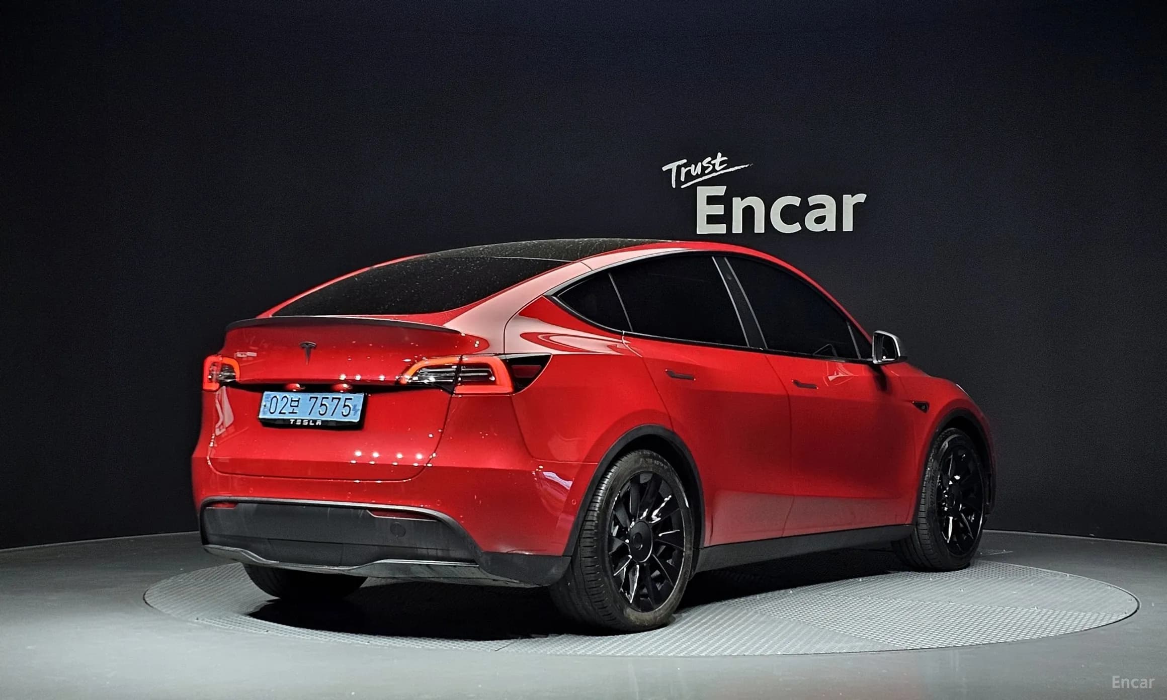 Model Y