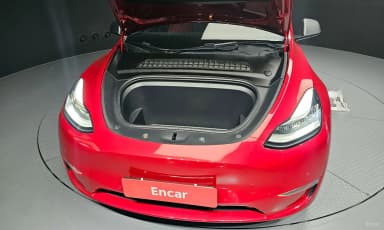 Model Y