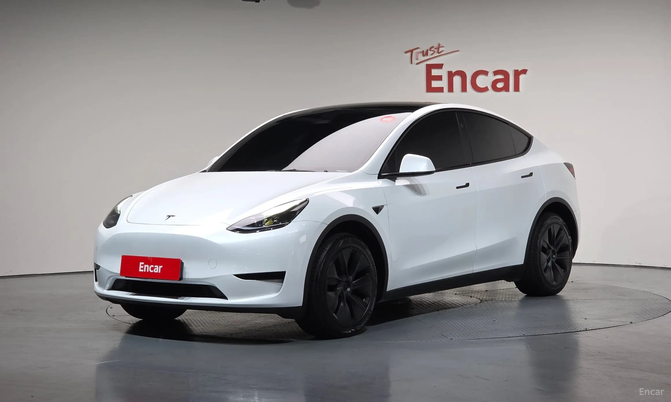 Model Y