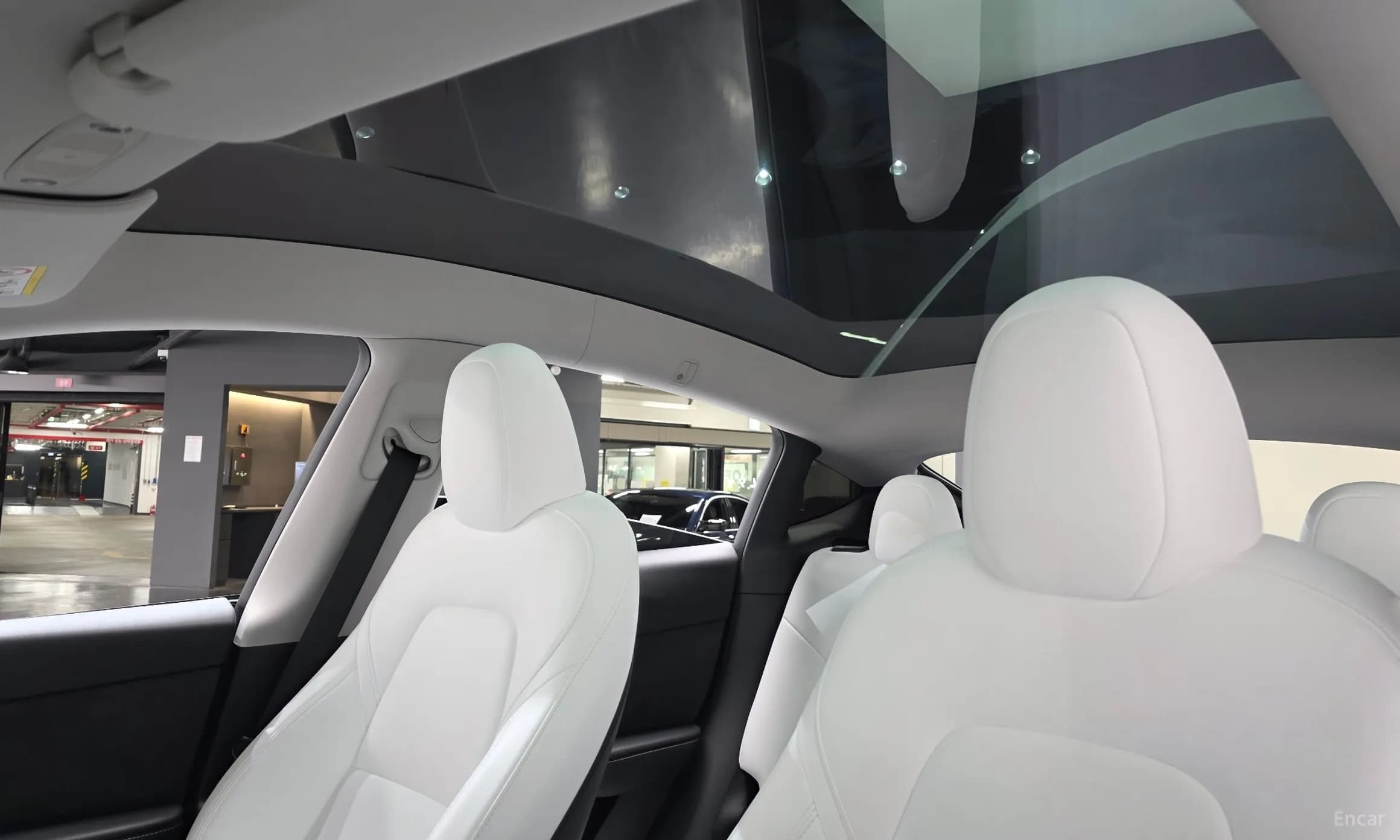 Model Y
