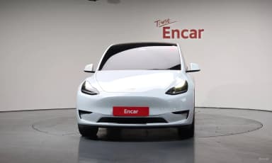 Model Y