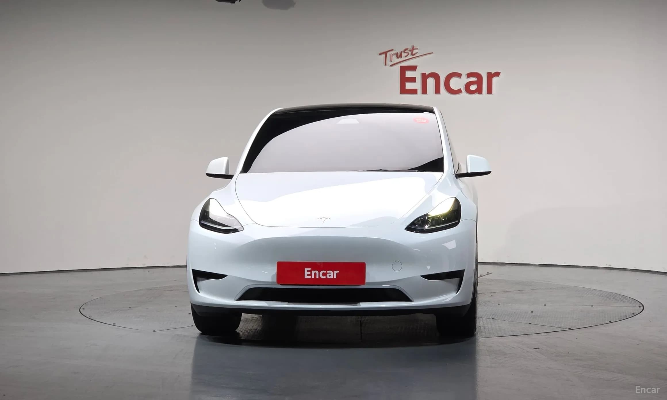 Model Y
