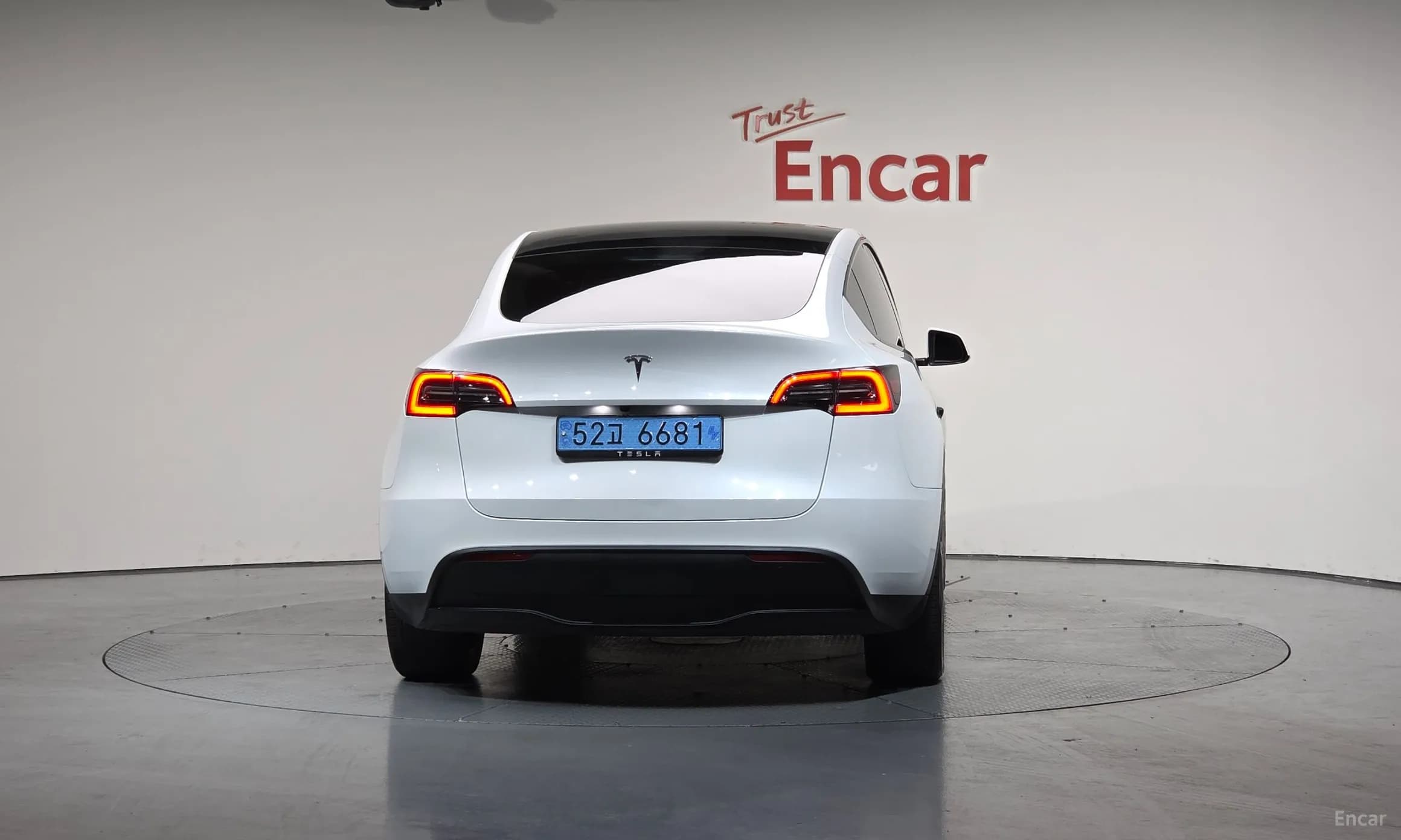 Model Y