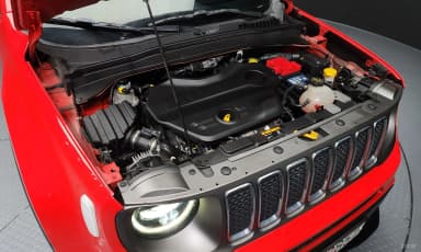 Renegade