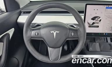 Model Y