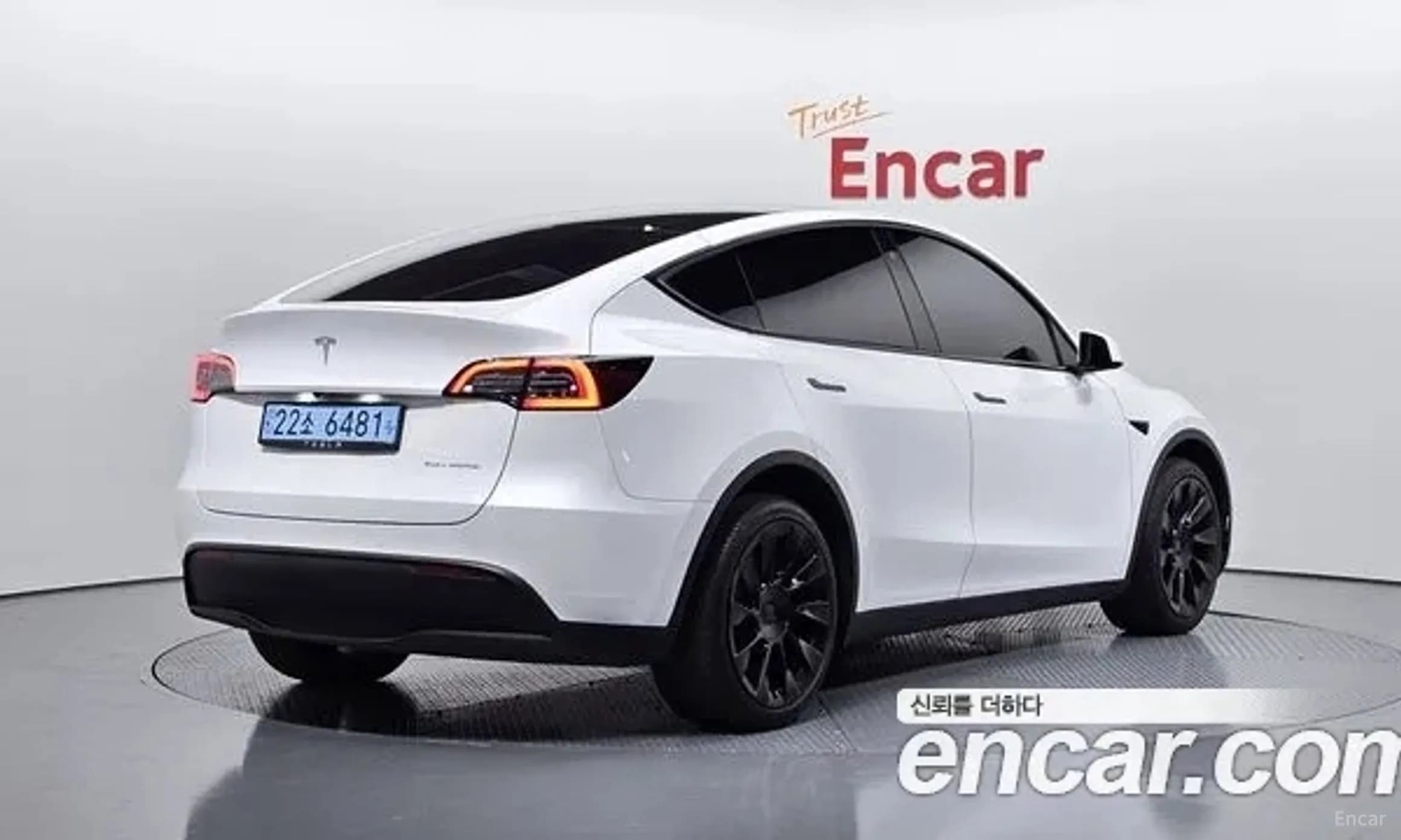 Model Y