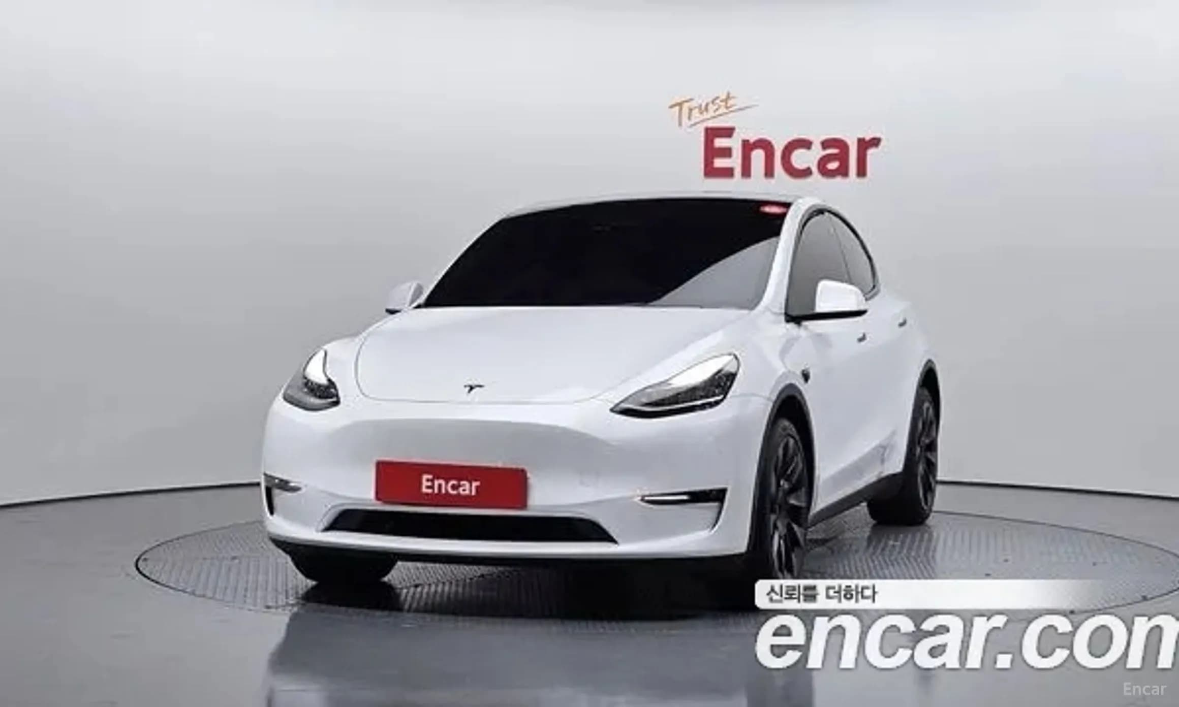 Model Y