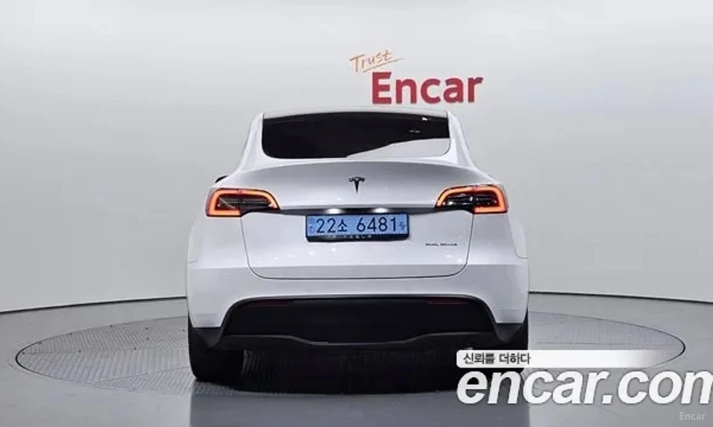 Model Y