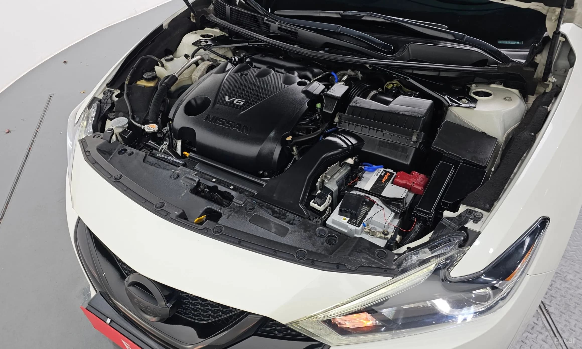 Maxima (A36)