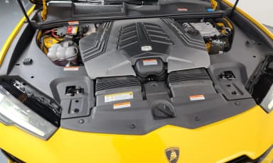 Urus
