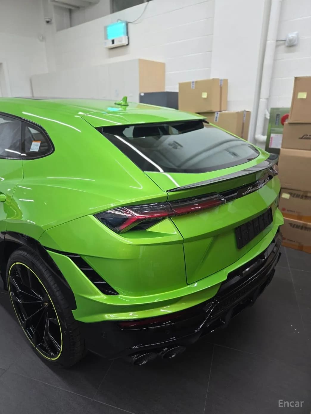 Urus