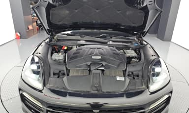 Cayenne (PO536)