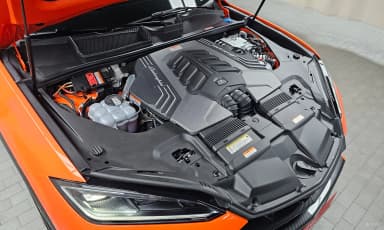 Urus