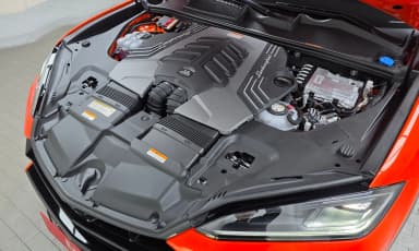 Urus