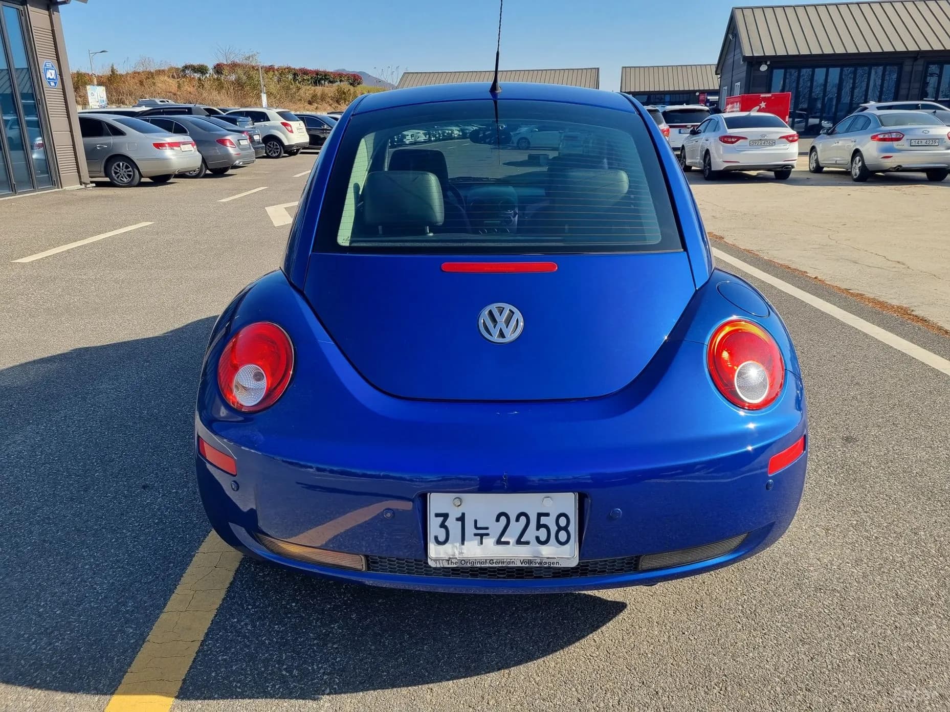 New Beetle