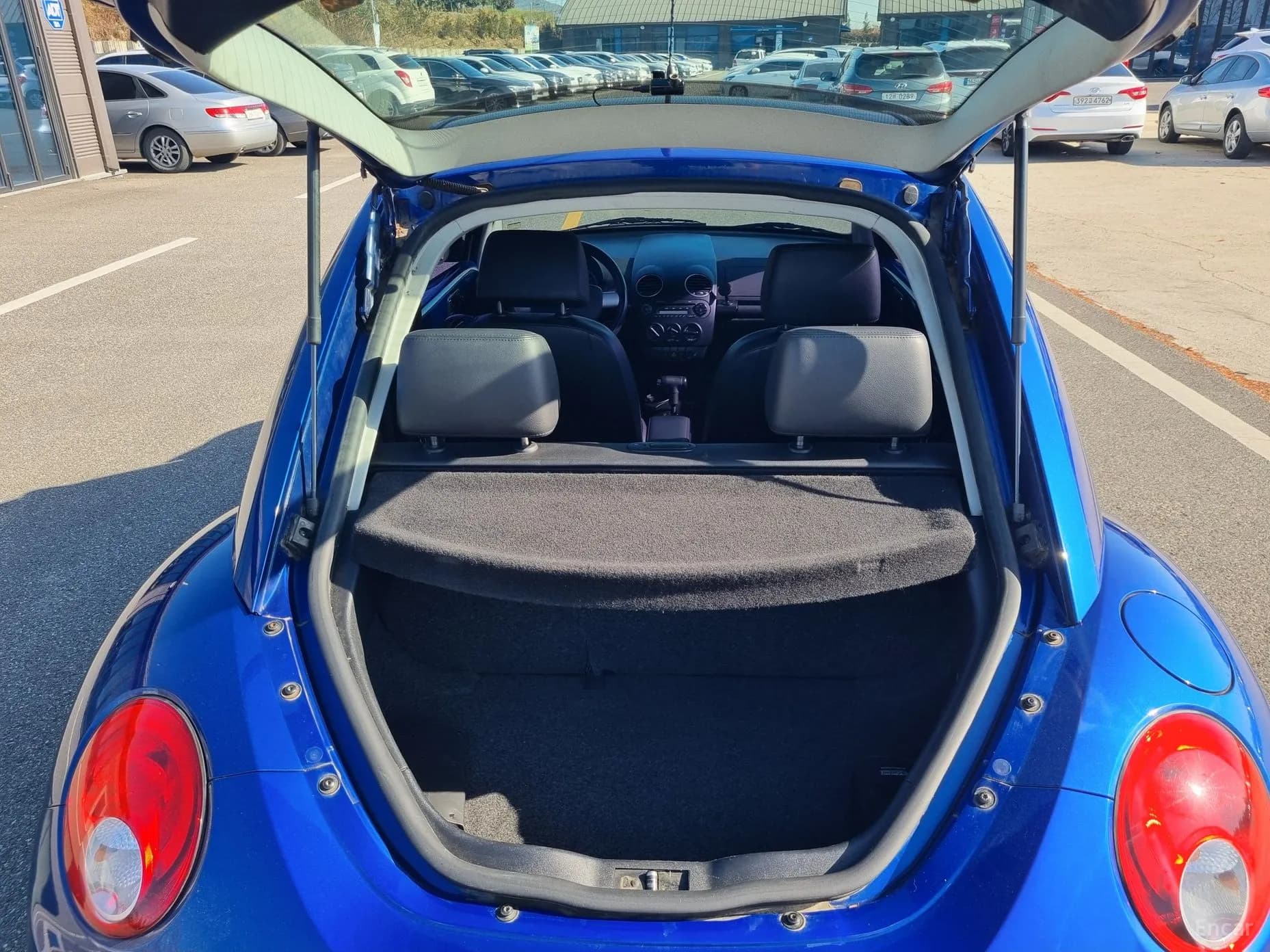 New Beetle
