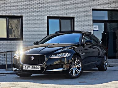 XF (x260)