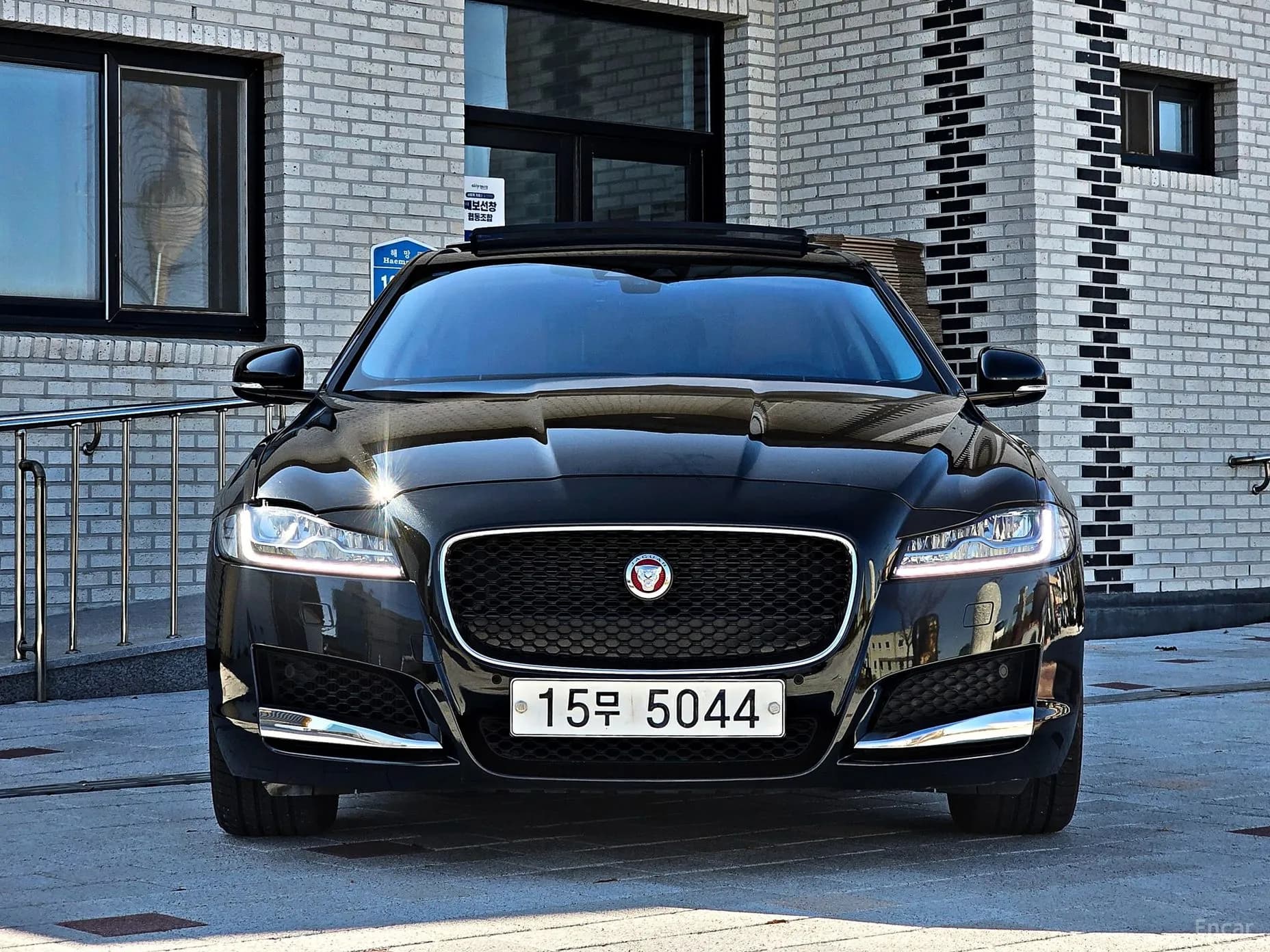 XF (x260)