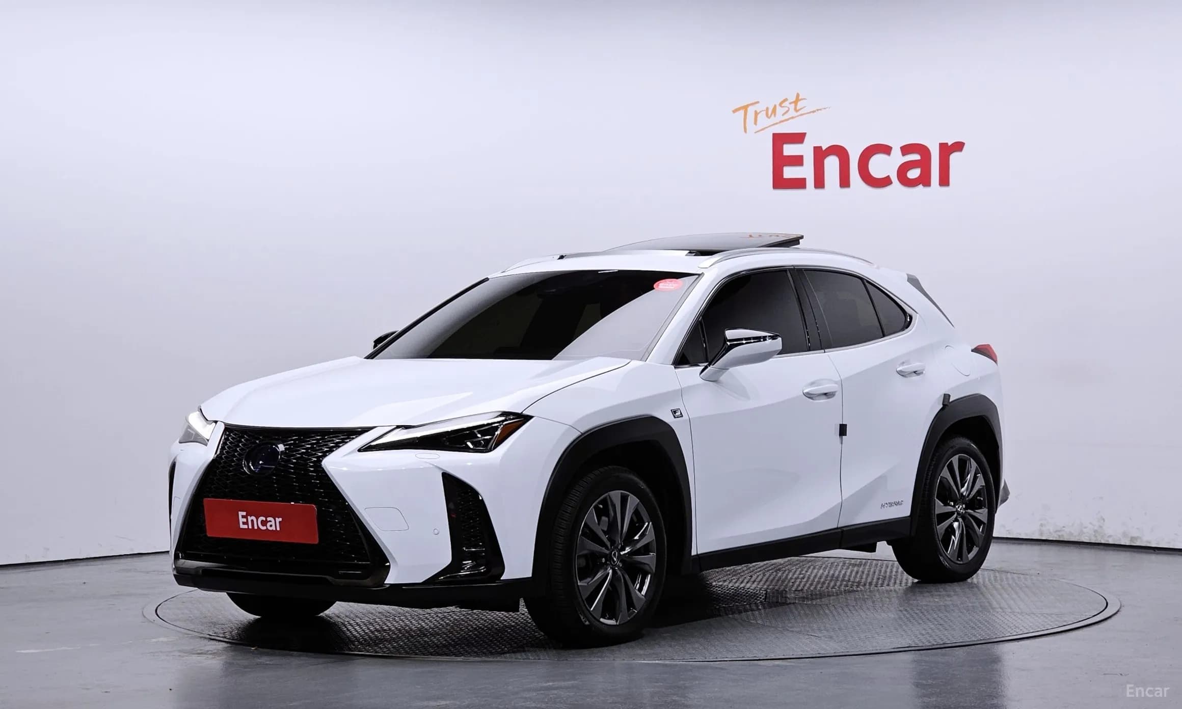 UX250h